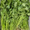 A10…고수 500g…ผักชี   500g