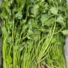A10…고수 500g…ผักชี   500g