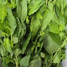 A16…까파오 500g…กะเพรา    500g