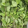 A18…훌라파 500g…โหระพา    500g