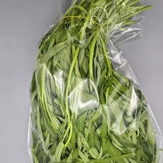 A22…팍붕 1kg…ผักบุ้ง   1kg