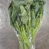 A24…카나 1kg…คะน้า   1kg