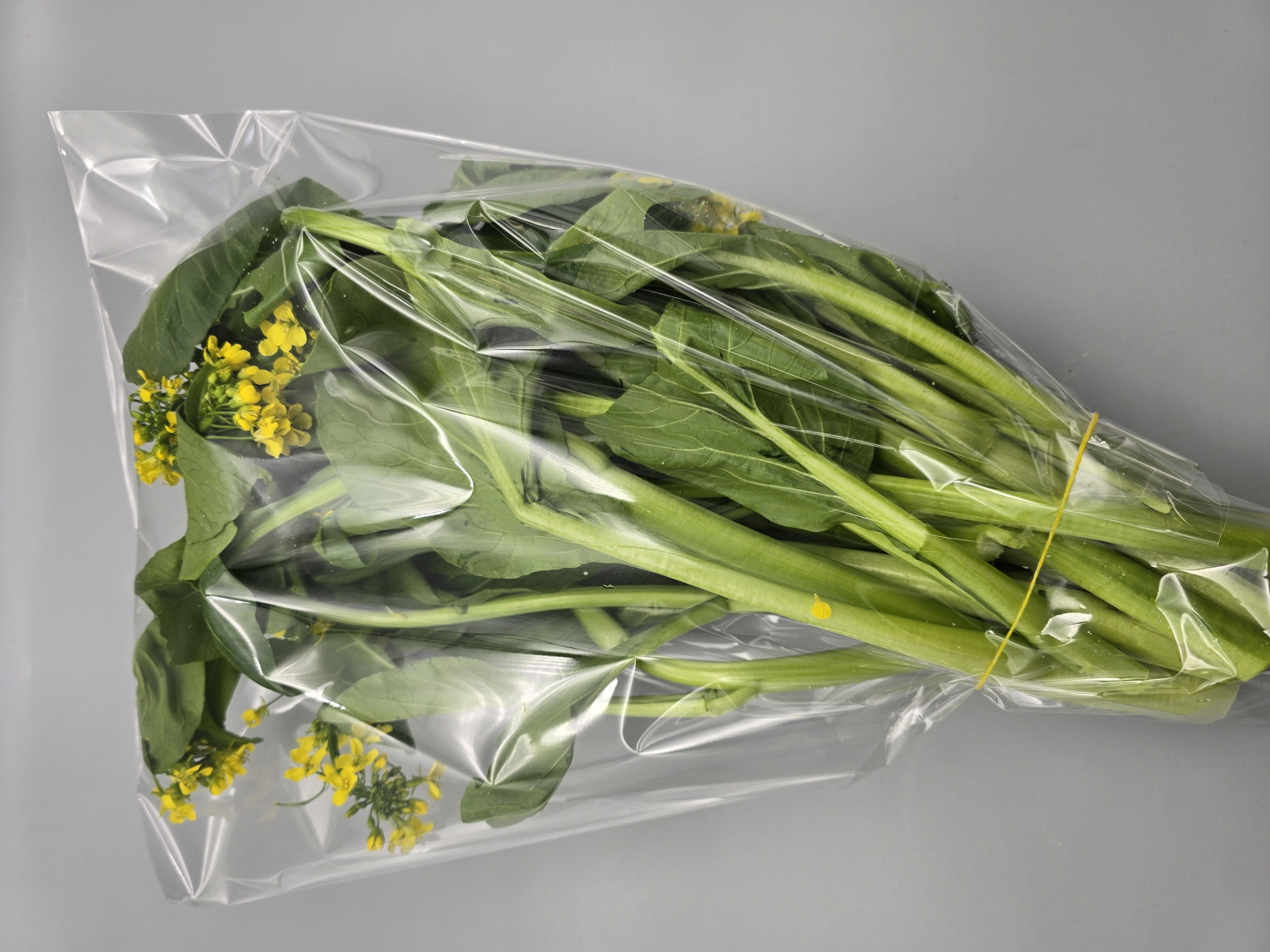 A26…꽝뚱 1kg…กวางตุ้ง    1kg