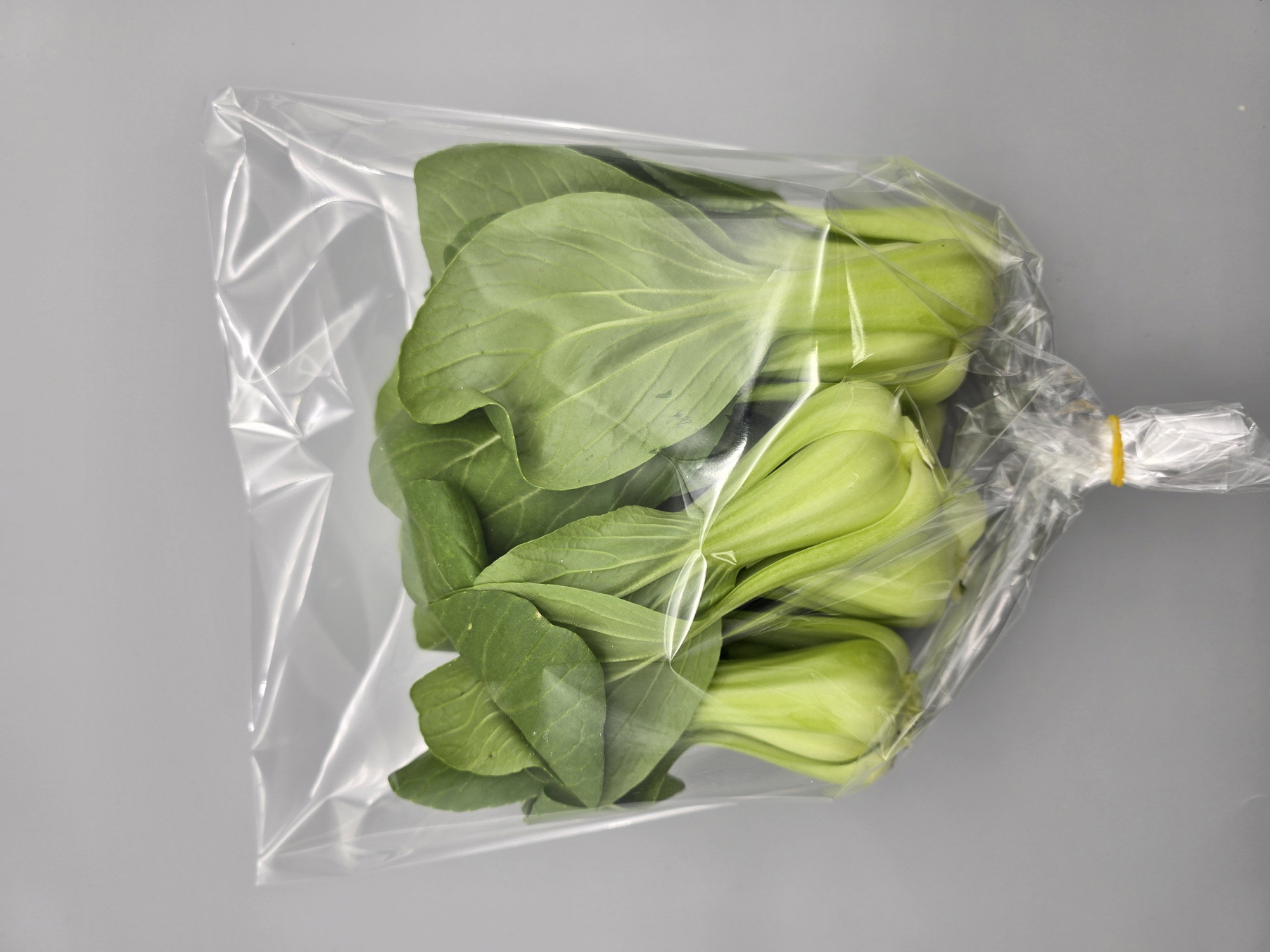 A32…청경채 1kg…กวางตุ้งฮ่องเต้  1kg