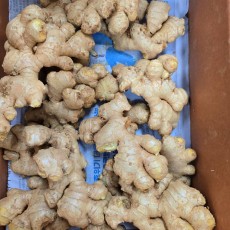 A36…생강 1kg…ขิงอ่อน  1kg