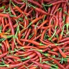 A4…생고추 500g…พริกสด   500g