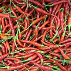A4…생고추 500g…พริกสด   500g