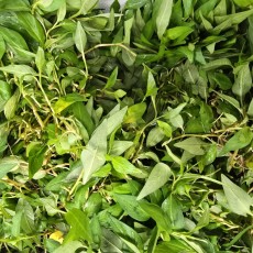 A42…팍페오 500g   라아람500g…ผักแพรว   500g