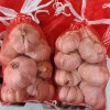A62…통마늘 1kg…กระเทียม   1kg