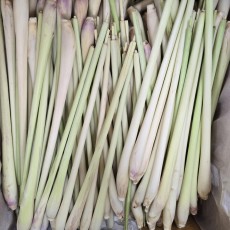 A66…레몬그라스 1kg…ตะไคร้   1kg(แทกุก)