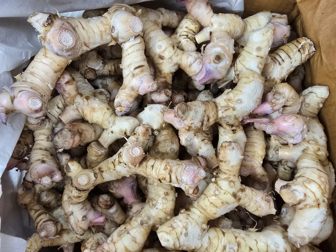 A68…카-생강대 1kg…ข่า   1kg