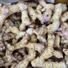 A68…카-생강대 1kg…ข่า   1kg