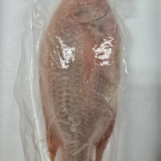 B21…냉동 레드틸라피아 500g - UP…ปลาทับทิม  500g - UP