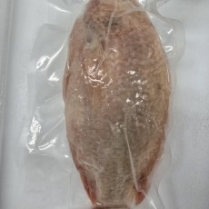 B22…냉동 레드틸라피아  700g - UP…ปลาทับทิม  700g -UP