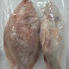 B24…냉동 레드틸라피아 2p 900g…ปลาทับทิมคู่ 2ตัว 900g.