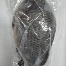 B26…냉동 틸라피아(1P)  500g…ปลานิล 500g